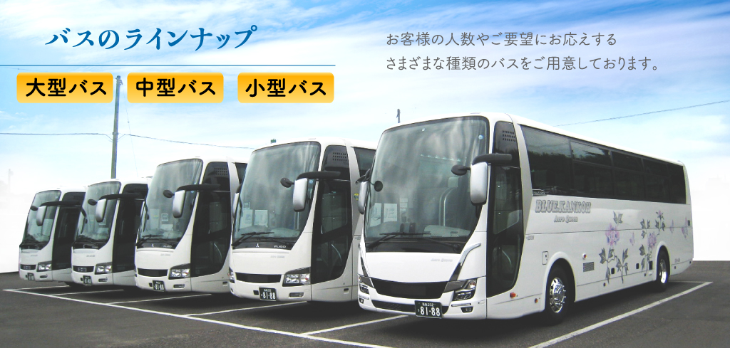 ラインナップ